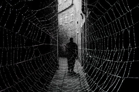 dark-street-and-cobweb