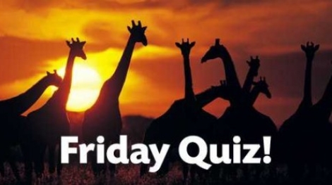 friday-quiz