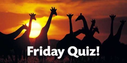 friday-quiz