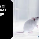 Analysis Of Quasar RAT Campaign